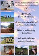 Zväčšiť fotografiu - Prázdninujte s knihou v župných knižniciach! - Plagat