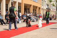 Zväčšiť fotografiu - Šikovnosť študentov odprezentovali ôsmakom v pilotnom projekte - TSK_prezka3škôl_mini (16 of 30)