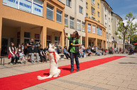Zväčšiť fotografiu - Šikovnosť študentov odprezentovali ôsmakom v pilotnom projekte - TSK_prezka3škôl_mini (17 of 30)