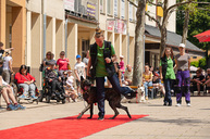 Zväčšiť fotografiu - Šikovnosť študentov odprezentovali ôsmakom v pilotnom projekte - TSK_prezka3škôl_mini (18 of 30)