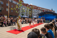 Zväčšiť fotografiu - Šikovnosť študentov odprezentovali ôsmakom v pilotnom projekte - TSK_prezka3škôl_mini (21 of 30)