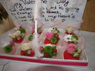 Soš pruské na medzinárodnej súťaži v malinove - P2127168