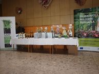 Soš pruské na medzinárodnej súťaži v malinove - P2127221