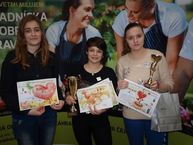 Soš pruské na medzinárodnej súťaži v malinove - P2127239