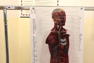 Zväčšiť fotografiu - Stredná zdravotnícka škola v prievidzi pripravuje žiakov na reálnu prax s pomocou moderných technológií