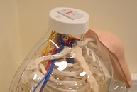 Zväčšiť fotografiu - Stredná zdravotnícka škola v prievidzi pripravuje žiakov na reálnu prax s pomocou moderných technológií