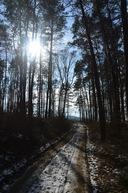 Vrchárska koruna Trenčianska