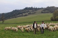 V experimentálnom odbore salašník, salašníčka študuje na soš pruské 12 študentov - Zdroj_TASR