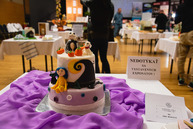 Zväčšiť fotografiu - V súťaži bodovala aj torta žiačky župnej strednej školy - TSK_najkrajšia torta_mini-14