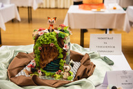 Zväčšiť fotografiu - V súťaži bodovala aj torta žiačky župnej strednej školy - TSK_najkrajšia torta_mini-16