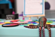 Zväčšiť fotografiu - 