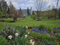 Zväčšiť fotografiu - Zelená škola budúcnosti: pruské získalo certifikát prírodná záhrada 2025