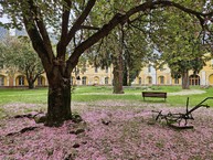 Zväčšiť fotografiu - Zelená škola budúcnosti: pruské získalo certifikát prírodná záhrada 2025