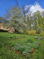 Zväčšiť fotografiu - Zelená škola budúcnosti: pruské získalo certifikát prírodná záhrada 2025