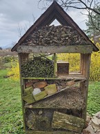 Zväčšiť fotografiu - Zelená škola budúcnosti: pruské získalo certifikát prírodná záhrada 2025