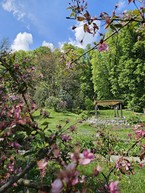 Zväčšiť fotografiu - Zelená škola budúcnosti: pruské získalo certifikát prírodná záhrada 2025