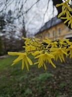 Zväčšiť fotografiu - Zelená škola budúcnosti: pruské získalo certifikát prírodná záhrada 2025