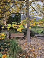 Zväčšiť fotografiu - Zelená škola budúcnosti: pruské získalo certifikát prírodná záhrada 2025