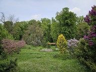 Zväčšiť fotografiu - Zelená škola budúcnosti: pruské získalo certifikát prírodná záhrada 2025