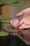 Zväčšiť fotografiu - Žiačky soš pruské uspeli v súťaži najkrajšia fotografia z územia mas