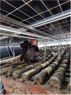 Zväčšiť fotografiu - 