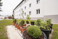 Zväčšiť fotografiu - Css - ave rok po rekonštrukcii, spokojní klienti aj zamestnanci - TSK_CSS AVE 22_mini (9 of 56)