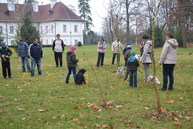 Farebná jeseň v parku - 22.11.2014 566_resize