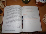 Gazdovský dvor v centre sociálnych služieb juh v trenčíne - DSC01708