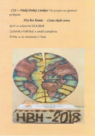 Hry bez hraníc zoberú klientov župných zariadení sociálnej starostlivosti na nezvyčajnú cestu okolo sveta - Bez názvu
