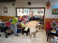 Zväčšiť fotografiu - Október v našich zariadeniach sociálnych služieb - css lipovec (1)