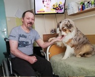 Zväčšiť fotografiu - S riešením problémov klientom pomáhajú štvornohí miláčikovia - 5