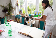 Trenčianska župa po prvýkrát verejne ocení záslužnú prácu zamestnancov v oblasti sociálnych služieb - 20180720_MY_ZP_PD_TSK_foto_Radovan_Stoklasa_064w