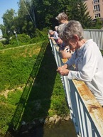 Zväčšiť fotografiu - V css – partizánske zažili mesiac plný aktivít - krmenie ryb