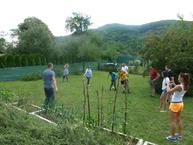 V záhrade domova sociálnych služieb púchov – nosice zasadili morušu na znak priateľstva - P1070813