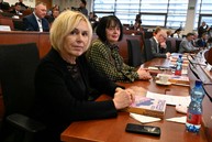 Zväčšiť fotografiu - Januárovému rokovaniu zastupiteľstva dominovali majetkové témy a projekty financované z externých zdrojov