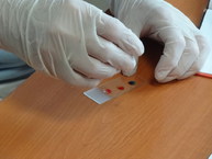 Baška pustil žilou - 3_resize