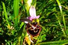 Kraj pozýva pedagógov na deň plný inšpirácie, zážitkového učenia a environmentálnej výchovy