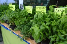 Odštartoval jubilejný 30. ročník obľúbeného veľtrhu Záhradkár