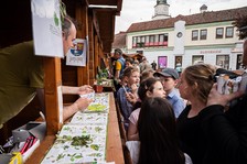 Grantové programy Trenčín 2026 podporia 68 projektov v regióne