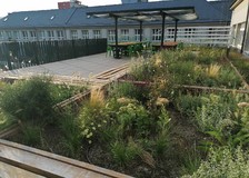 V Trenčianskom kraji nájdete už 47 certifikovaných prírodných záhrad