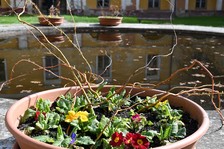 Zelená škola budúcnosti: Pruské získalo certifikát Prírodná záhrada 2025