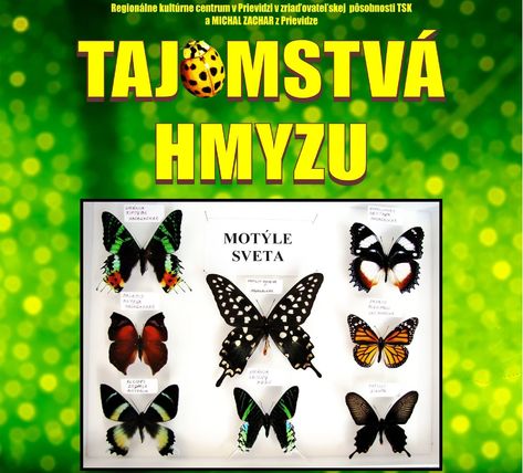 Tajomstvá hmyzu odhalia v priestoroch galérie Regionart v Prievidzi Tajomstvá hmyzu odhalia v priestoroch galérie Regionart v Prievidzi