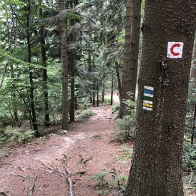 Cyklisti sa môžu tešiť na obnovené aj nové značenie trás  