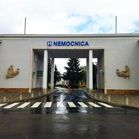 Financie z charitatívnej dražby pomôžu nemocnici aj umeleckej škole