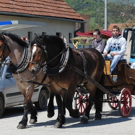 Mačovské gazdovské dvory 2016