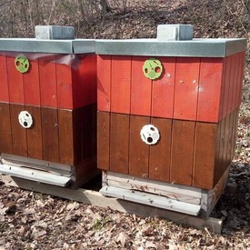Základy včelárstva aj ako predmet na župnej škole