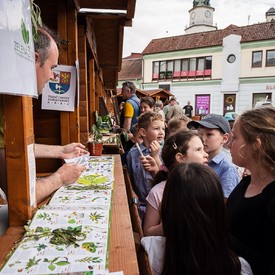 Grantové programy Trenčín 2026 podporia 68 projektov v regióne