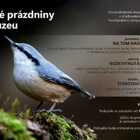 Kultúrne inštitúcie ponúkajú zaujímavý program nielen pre prázdninujúcich školákov