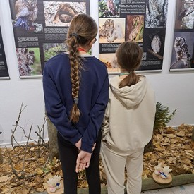 Život a dôležitosť sovy približuje výstava Vlastivedného múzea