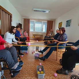 V centrách sociálnych služieb využívajú terapeutický účinok psov i hier
